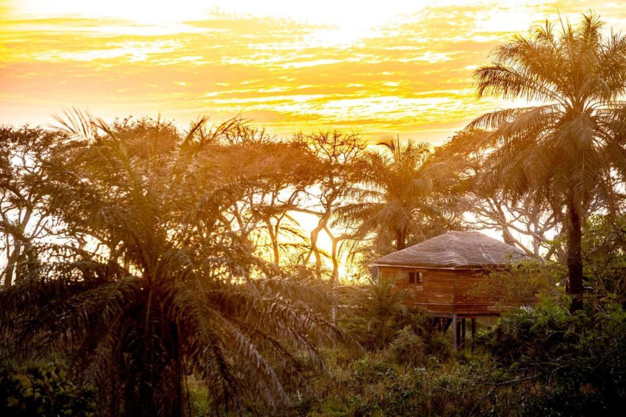Mansa Musso Lodge Sanyang Exteriör bild